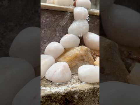 #wonder #creator #parthiv