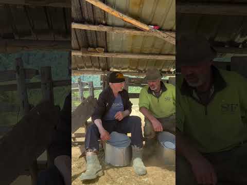 A day in the mountains with Santa Leon🇷🇴