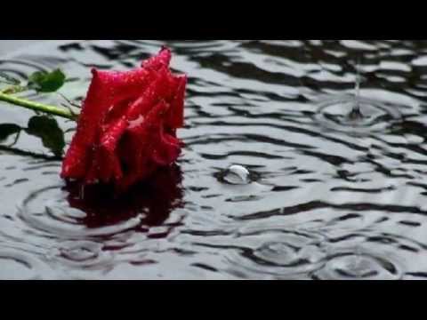 Peter Frampton -  It's so sad affair