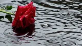 Peter Frampton -  It's so sad affair