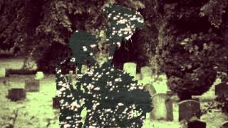 Bibio - � Tout � L'heure video