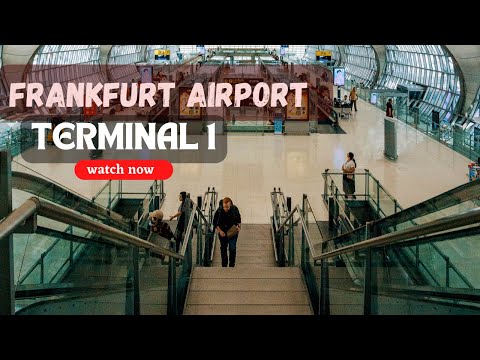 ✈️ Aeroporto Internacional de Frankfurt, Terminal 1 || Passeio a pé pelo Frankfurt Flughafen 🇩🇪