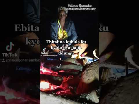 Ebibeera ku kyoto kya jjajja ddungu @Nalongo Nansamba 0782534557_0753534557