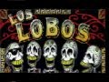 Los  Lobos -  voodoo  music