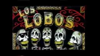 Los  Lobos -  voodoo  music