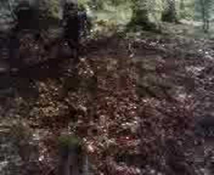 Himmelfahrtskommando Steina 2008 Teil I