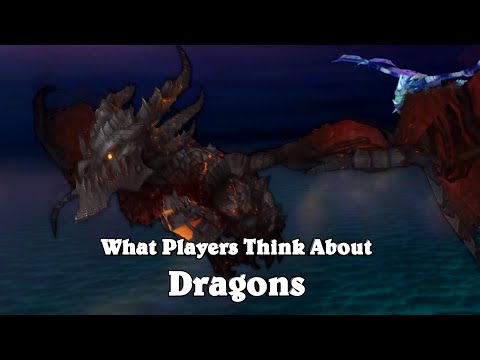What Pros Think About Dragons