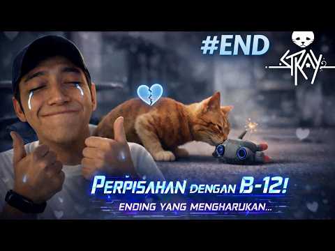 APAKAH INI SELESAI?! (End) | STRAY Gameplay Indonesia