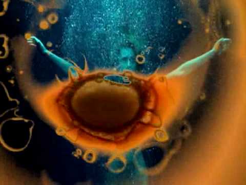 Country cabin_Mr. Untel.mp4