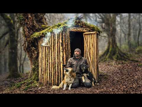 The Ultimate Hollow Tree Shelter: Building a Hidden Bushcraft Cabin in the Snow