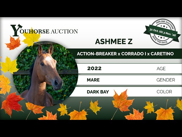 Ashmee Z