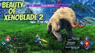 XENOBLADE 2 PC ULTRA GRAPHIC 60FPS TEST