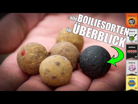 Dreambaits Readymade Range - Alle Readymade Boilies zum Karpfenangeln auf einen Blick vorgestellt!