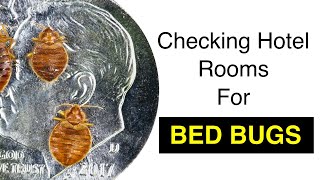 Checking Hotel Rooms for Bed Bugs