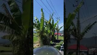 Download lagu Story wa lagu minang pemandangan gunung mp3