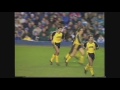 Everton v Arsenal 1988-89