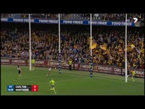 Round 12 AFL - Carlton v Hawthorn Highlights