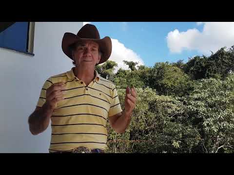 GENTE DA MINHA TERRA NINO PASA