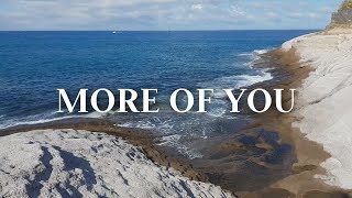 Hillsong Y&amp;F - More of You (Lyric Video)