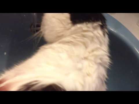 078tv - Katje houd van water?!