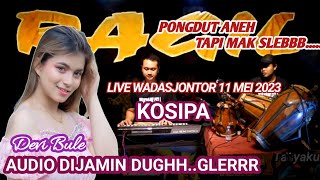 Download lagu KOSIPA - DEVI BULE - KENDANG RAMPAK - RAGIL PONGDUT mp3 Download lagu KOSIPA - DEVI BULE - KENDANG RAMPAK - RAGIL PONGDUT mp3