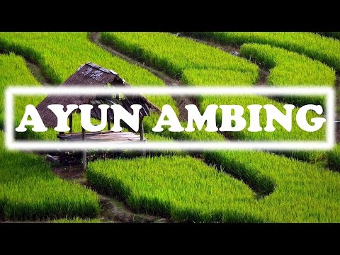 [AYUN AMBING] SUNDANESE INSTRUMENTALIA | DEGUNG SUNDA | INDONESIAN TRADITIONAL MUSIC
