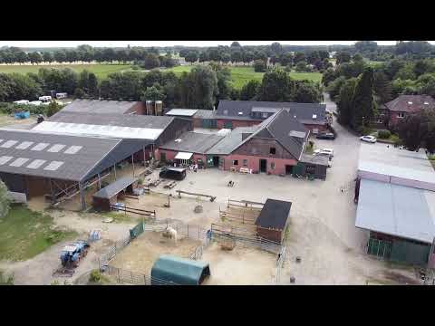 Royal Horses - 22.07.2023 - 4k