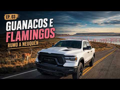 EP. 03 – Guanacos e Flamingos pelo Caminho | De 9 de Julio a Neuquén