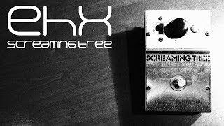 Video thumbnail for EHX Screaming Tree Treble Booster Demo by Joe Perkins