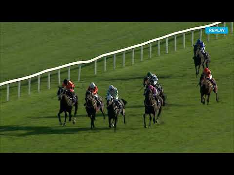8. dostih - Cena ČSCHPMDK - dostihy Chuchle Arena Praha 3. 10. 2021