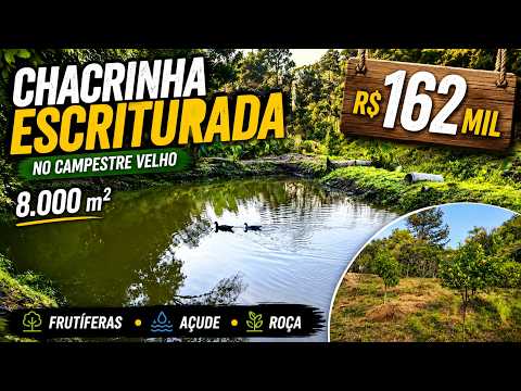 Vídeo