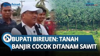 Banjir Belum Surut, Bupati Bireuen Aceh Malah Sarankan Tanam Sawit: Warganet Naik Pitam!
