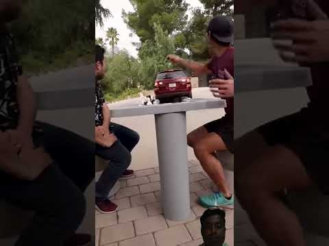 #hippo #funnyprank #prank #shortvideo #funny