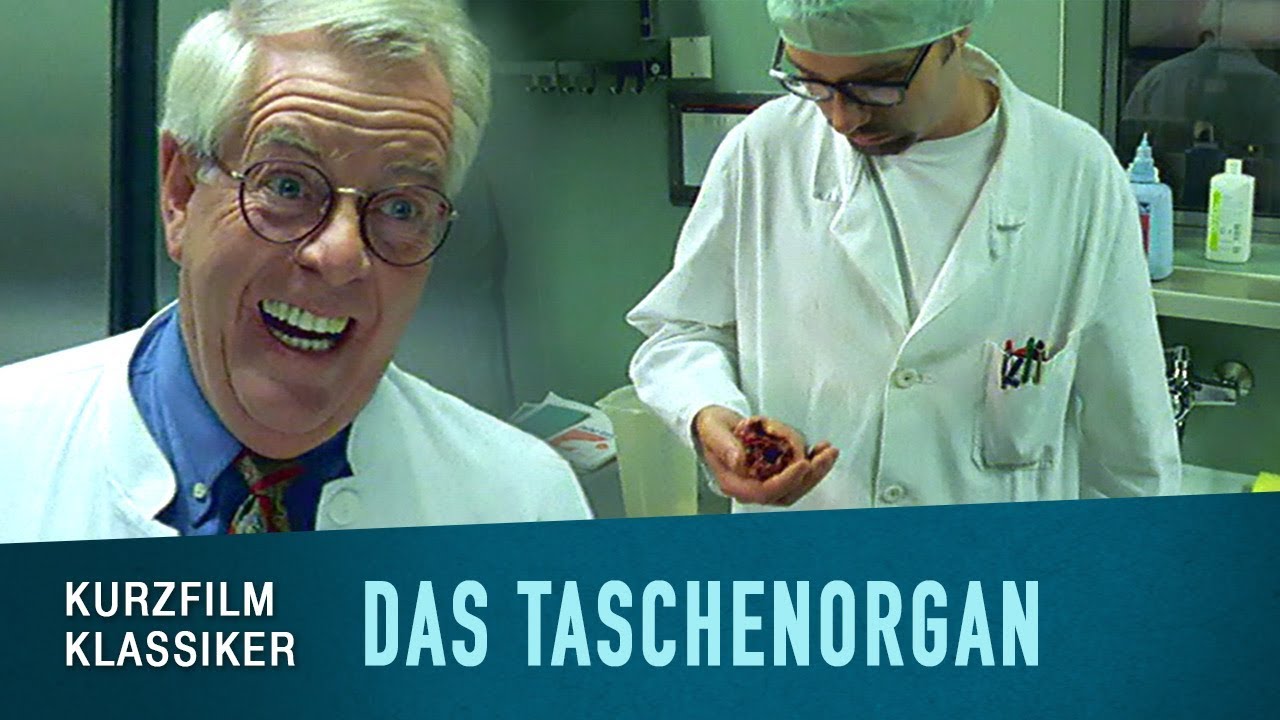 Das Taschenorgan