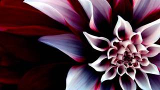 Valensia - Gaia [lyrics]