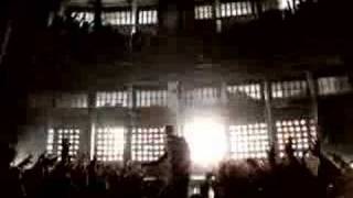 Robbie Williams Lovelight