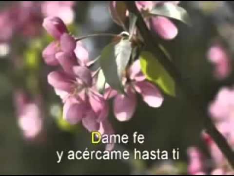 Dame Fé - Alejandro Jaén