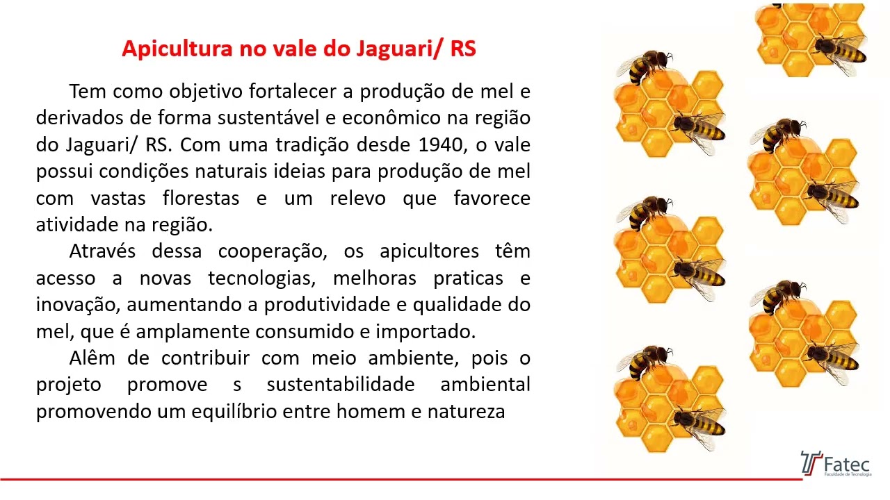 Projeto Integrador 1.  Apicultura no Vale do Jaguari/RS