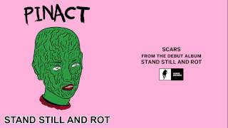 Pinact "Scars" [Official Audio]