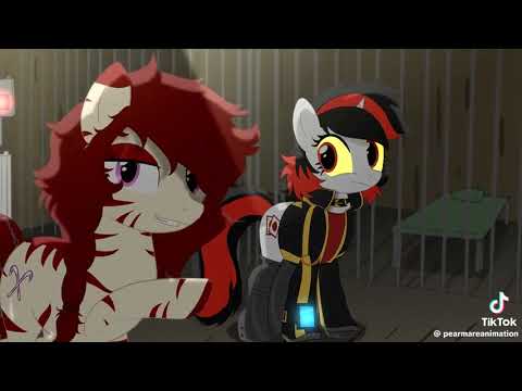 Do Not Shoot Blackjack