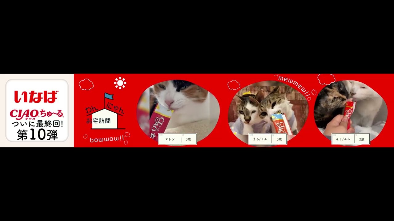 わんにゃんお宅訪問withちゅ～る 第10弾 Part1