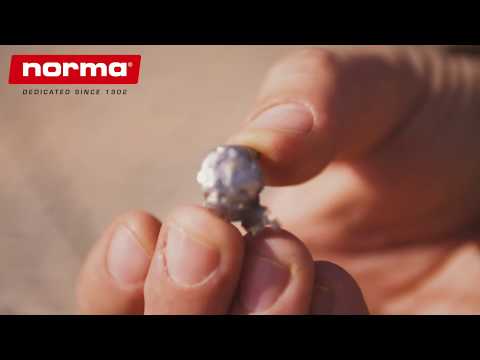 Recovered Norma BONDSTRIKE Bullet During Aoudad Hunt in West Texas