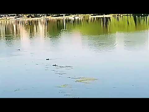 Lago del Dique Tandil!! Viaje por la provincia de Buenos Aires!!#tandil