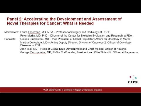2021 CERSI Summit - Panel 2: Accelerating the Development/Assessment of Novel Therapies for Cancer