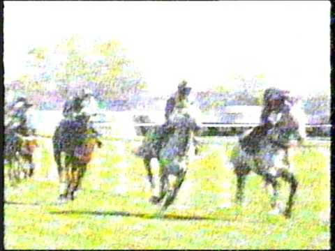 1999 - Aintree - Martell Red Rum Handicap Chase (2m) - Flying Instructor
