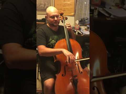 Piatti Book II, No. 10 Kummer