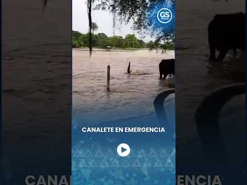 Canalete en emergencia