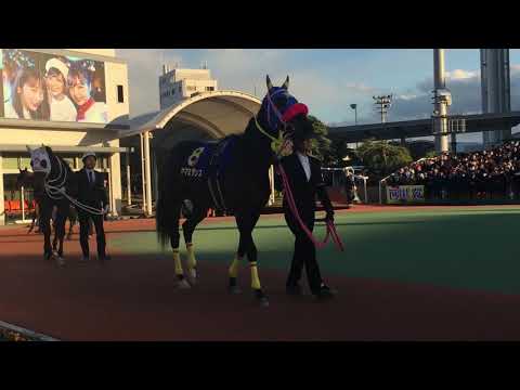 2018.12.29 大井🐎10R 第64回 東京大賞典競走（GI）パドック