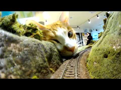 Do you want to take this train? Ⅰ