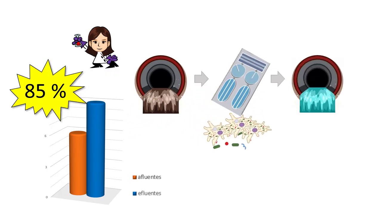 Papel de las amebas de vida libre como repertorio de bacterias potencialmente patogenas